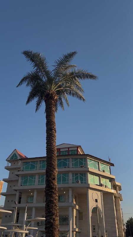 ᷂الـزهـراء .