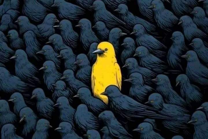 **لا بأس أن تكون** [**#مختلف**](?q=%23%D9%85%D8%AE%D8%AA%D9%84%D9%81) **، …