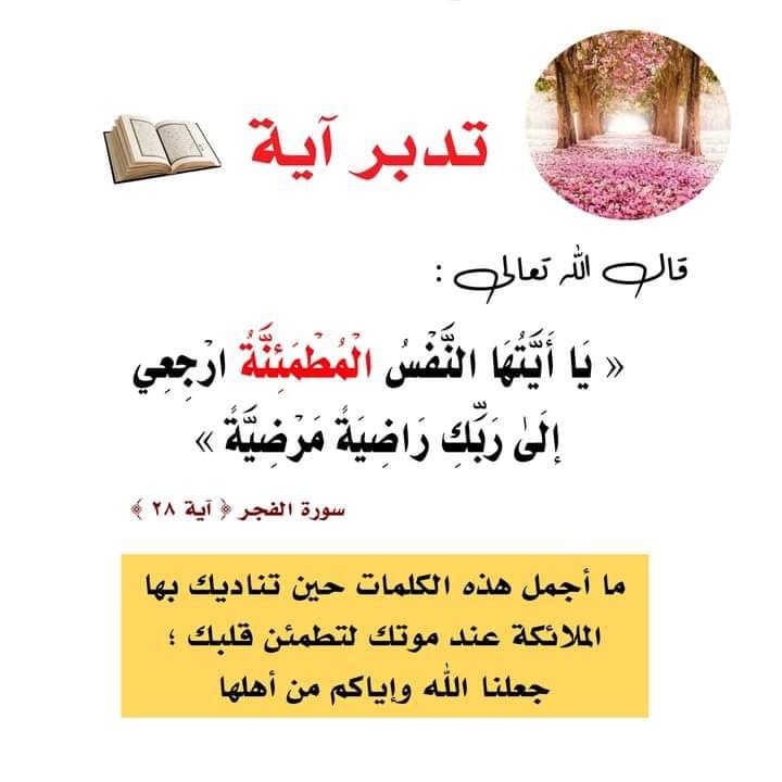 مقتبسات راحل