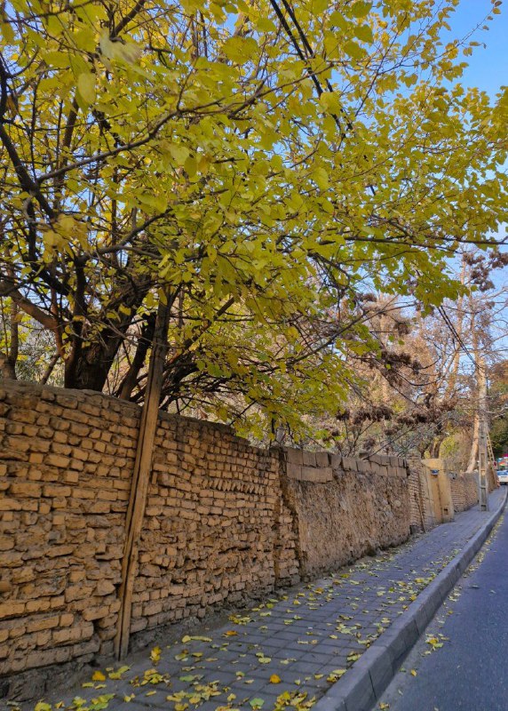زین چمن برگ گلی نیست که …