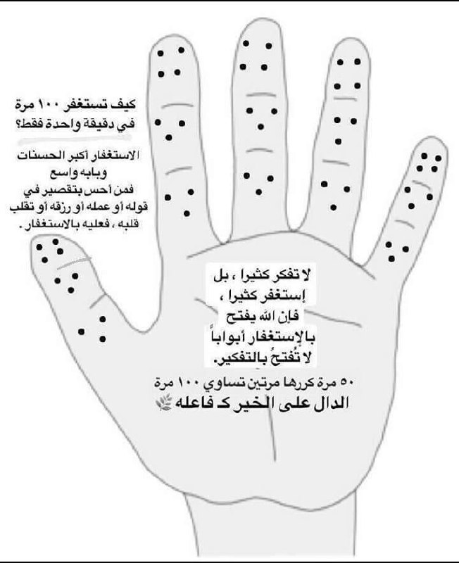 أمان المسلمة في زمان الفتن