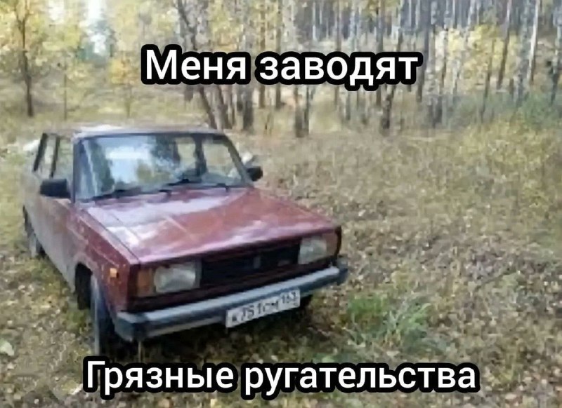 Амбасадорный засланец