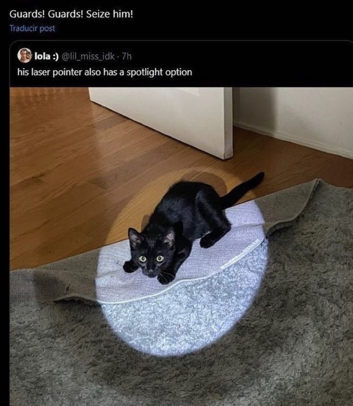 pussyposting