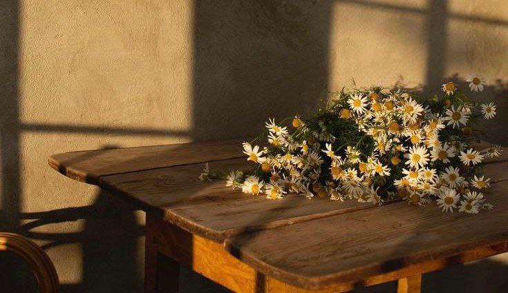 با هر آماری می‌تونید تو فولدرمون