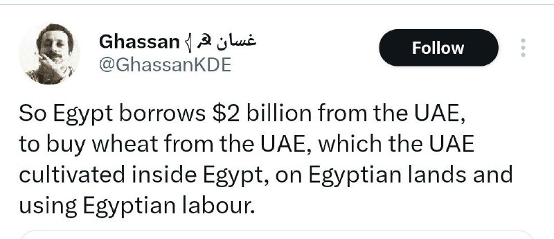 ‏دولت مصر ٢ میلیارد دلار از …