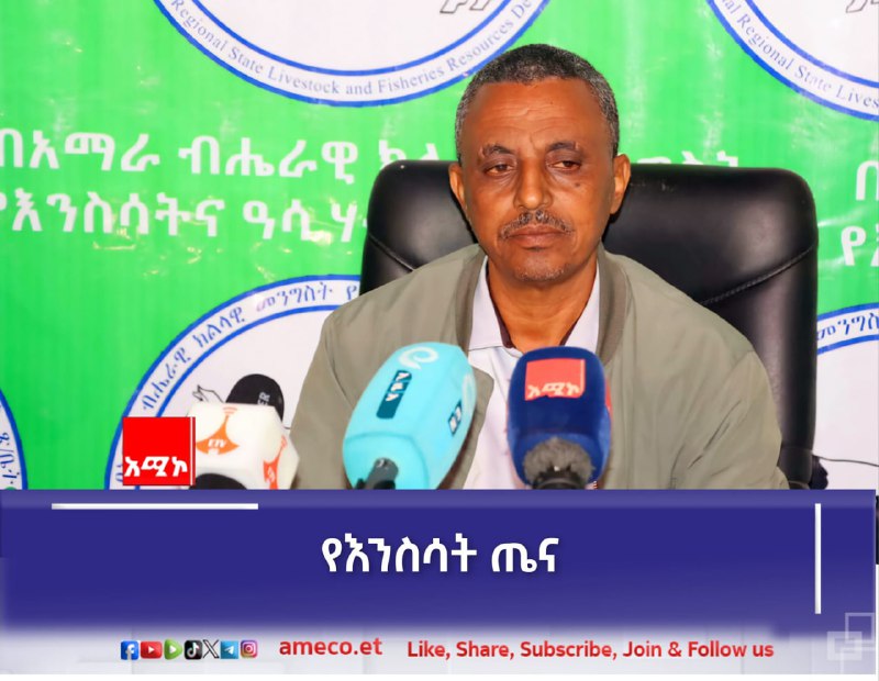 በአማራ ክልል በሩብ ዓመቱ መከላከልን መሠረት …