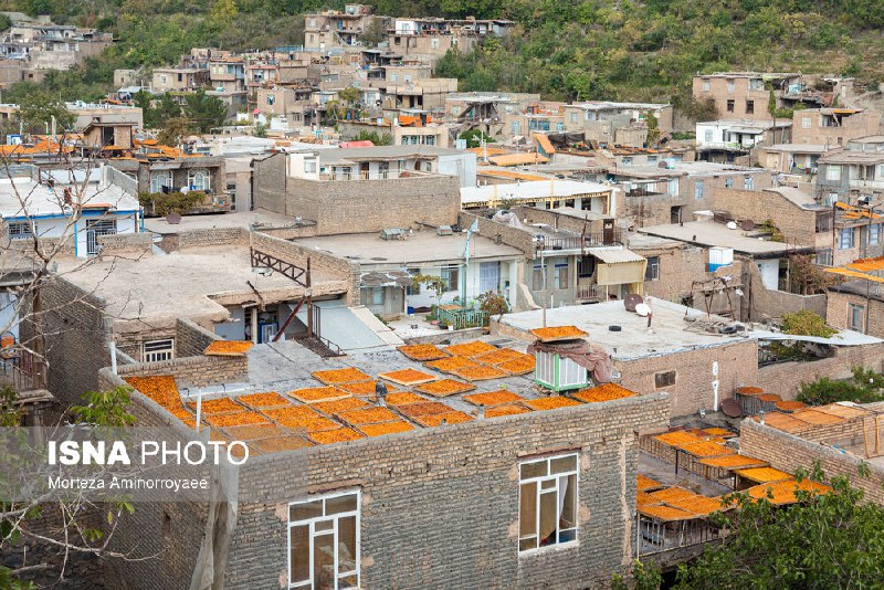 کانال مرتضی امین الرعایایی