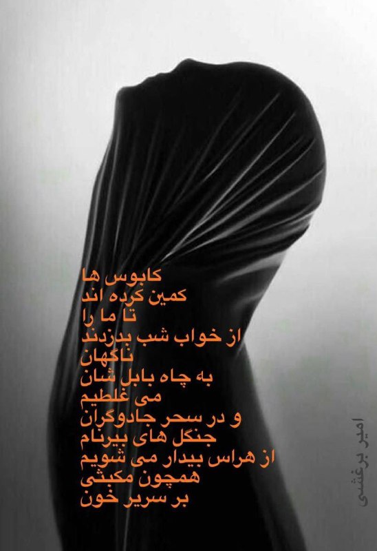 امير برغشي