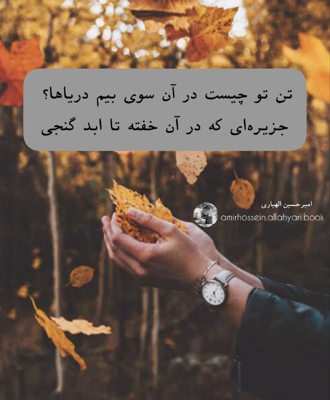 Amirhossein_allahyari