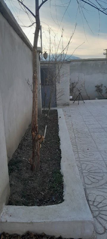 بازار املاک گلپایگان