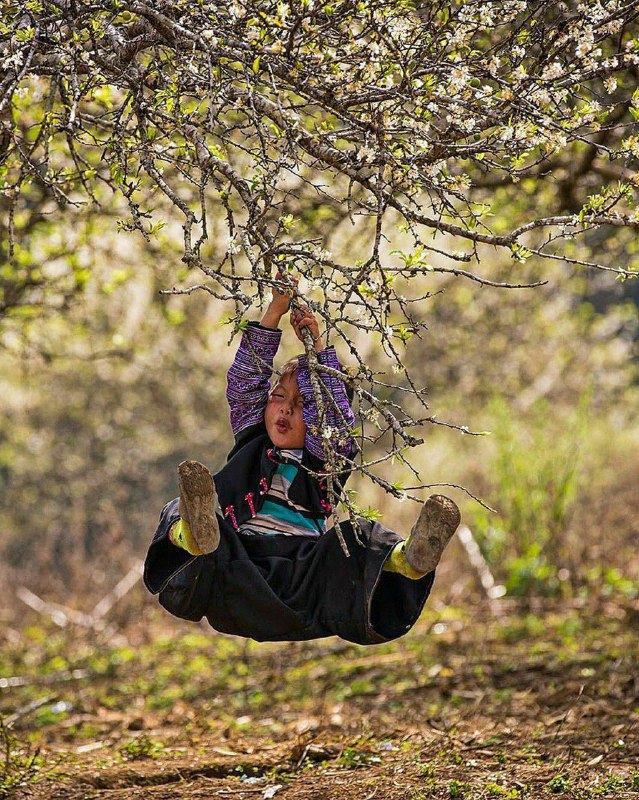 هر که زین گلشن لبی خندان‌تر …