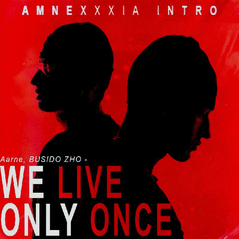 Aarne, BUSHIDO ZHO - WE LIVE …