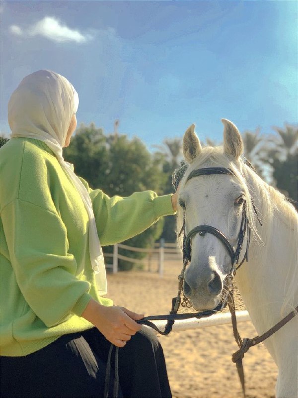 "الأخطاء لا تمحو الود، لكنها تبني …