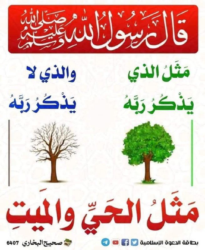 توێشوویەڪ بۆ قیامەتمان