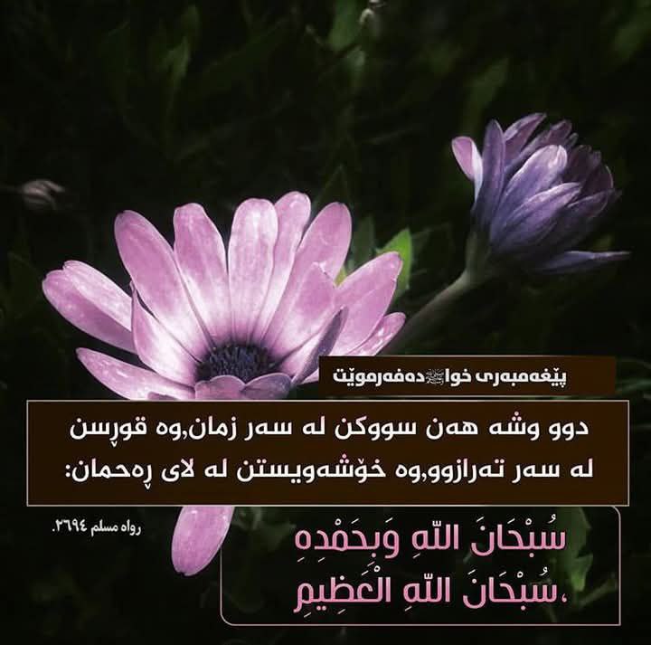 توێشوویەڪ بۆ قیامەتمان