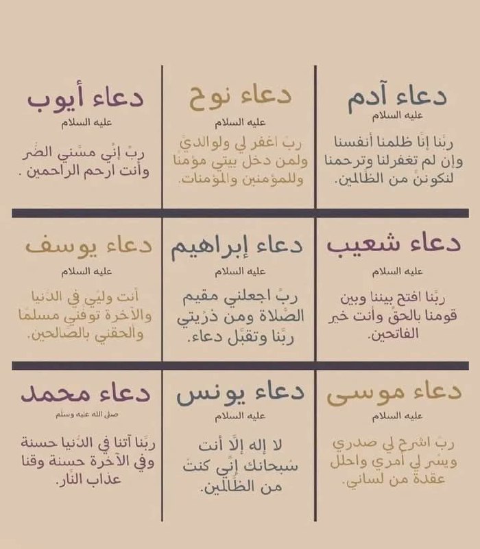 توێشوویەڪ بۆ قیامەتمان