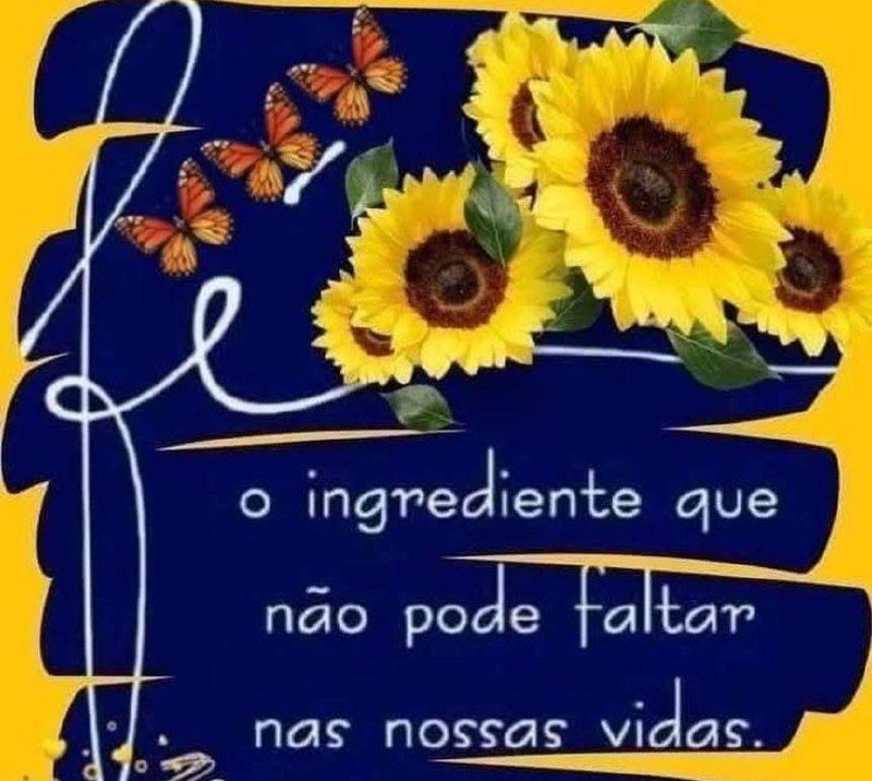 💐 A Mulher Segundo o Coração …
