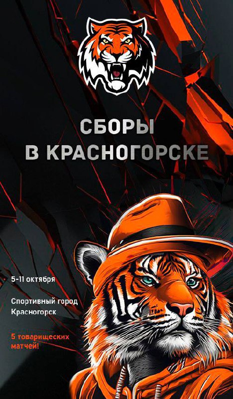 Уже завтра наши тигры ***🐯*** отправятся …