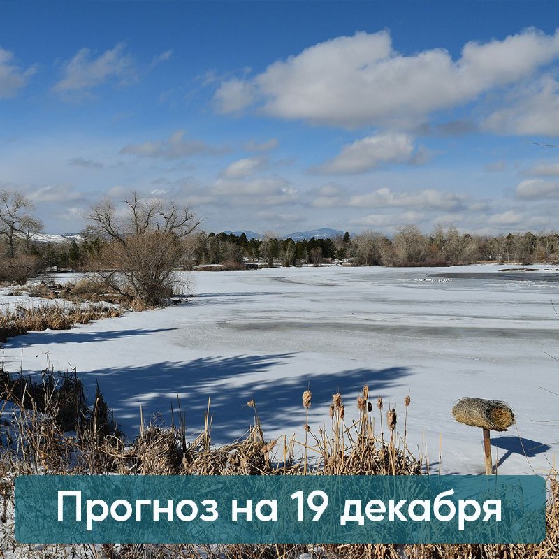 По области переменная облачность,***🌫******⛅️*** преимущественно без …