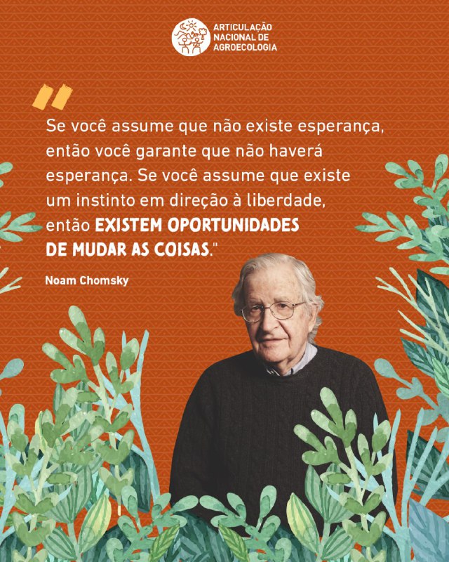 Pois é, essa frase de Noam …