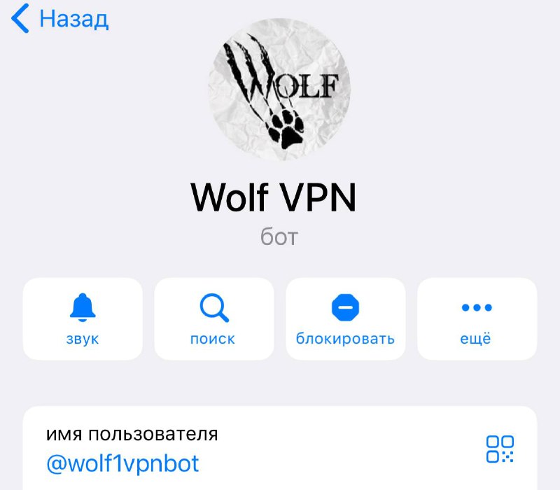 **Я сделал свой VPN***⚡️*****