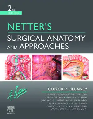 Netter's Surgical Anatomy and Approaches Delaney …