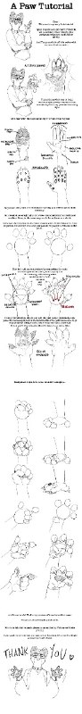 Anatomia & CIA