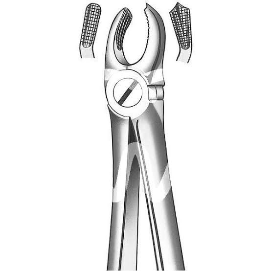 [@anatomy\_stomatology](https://t.me/anatomy_stomatology)