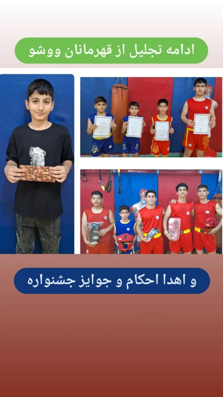 تجلیل از قهرمانان ووشو