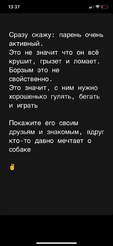 Чек-Чек