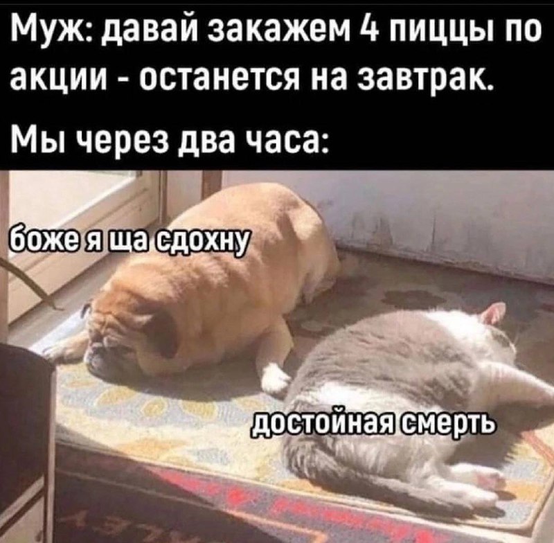 АНЕКДОТЫ НА КАЖДЫЙ ДЕНЬ