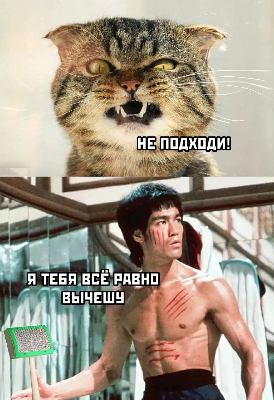 [**Ржака | Мемы | Юмор**](https://t.me/anekdoti69)***😂***