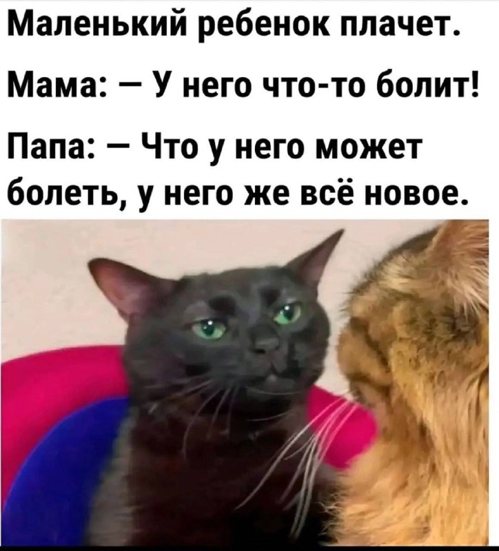 [**Ржака | Мемы | Юмор**](https://t.me/anekdoti69)***😂***