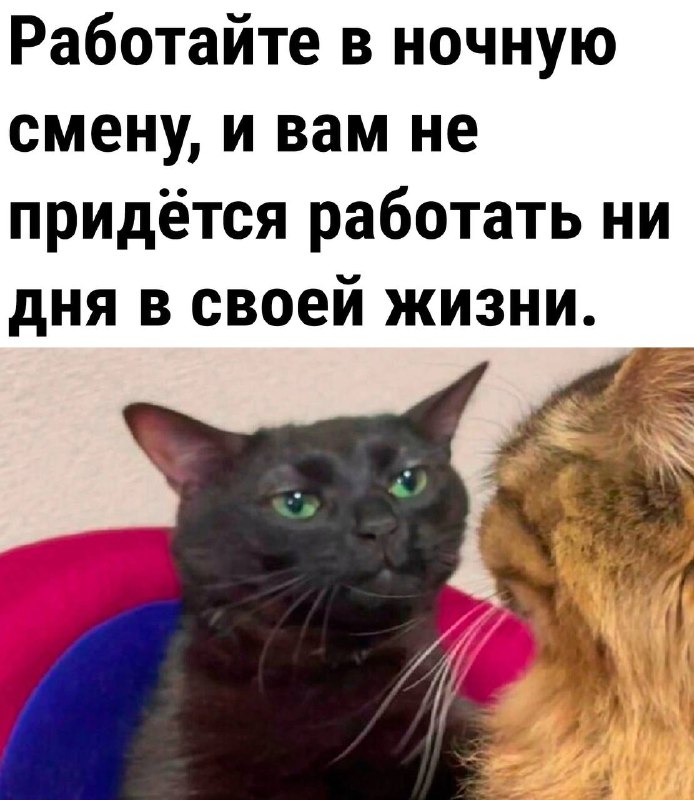 [**Ржака | Мемы | Юмор**](https://t.me/anekdoti69)***😂***