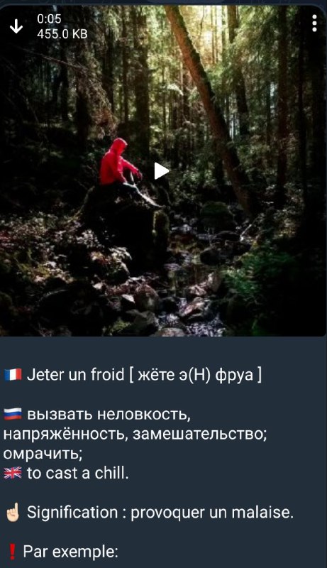 Французский с нуля. Весело, доступно, понятно.