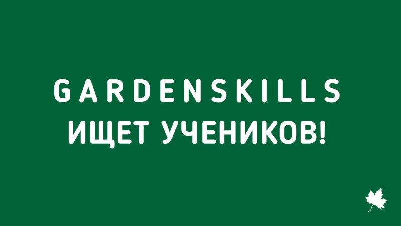 Скидка до 30% на онлайн уроки …