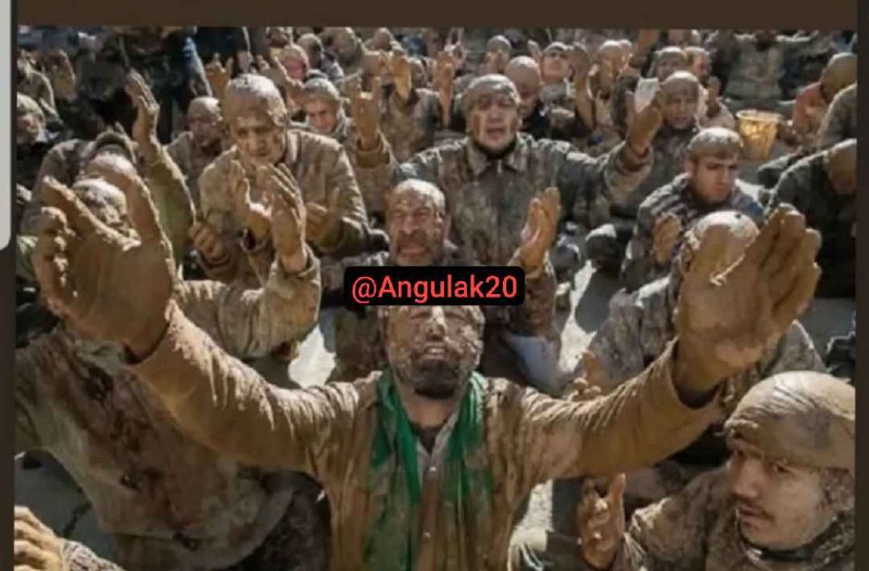 این جماعت به دختر دانشجوری علوم …