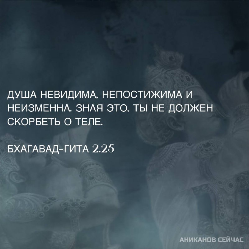 Аниканов сейчас