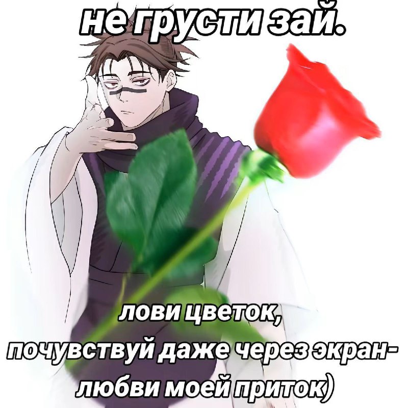 Сокойной ночки