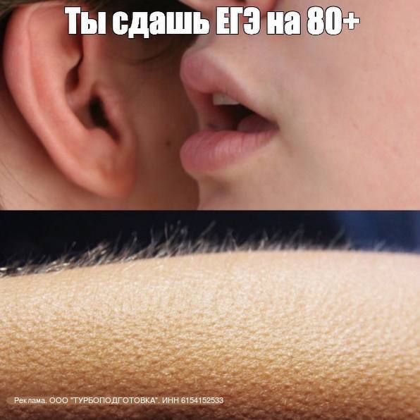 Сдаешь ЕГЭ в 2025 году?