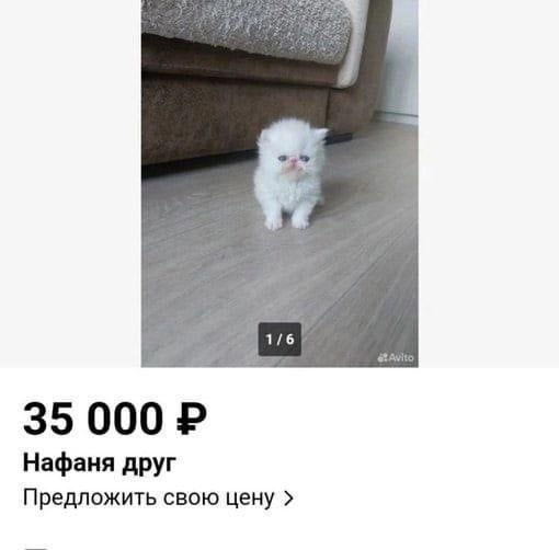 400 спартанцев