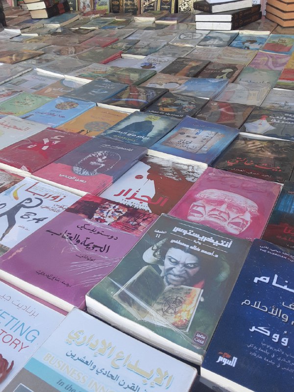 أنين كاتبة