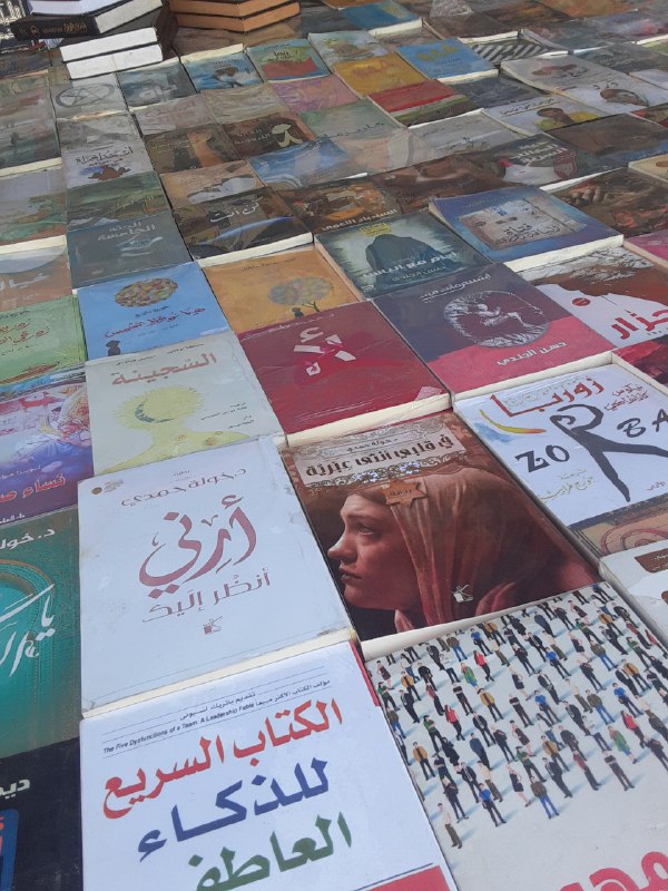 أنين كاتبة