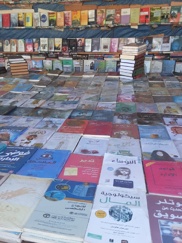 أنين كاتبة