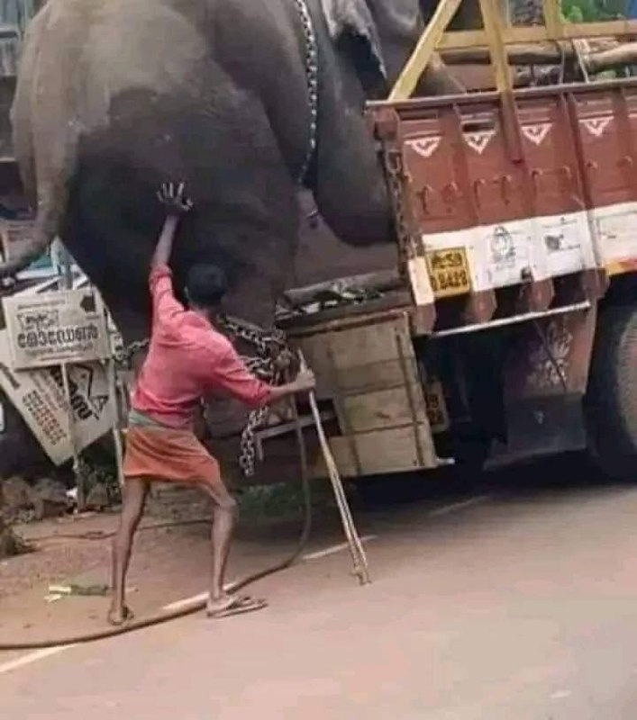 *इस तस्वीर पर एक बार जरूर …