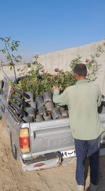 انجمن علمی حقوق دانشگاه هشتگرد