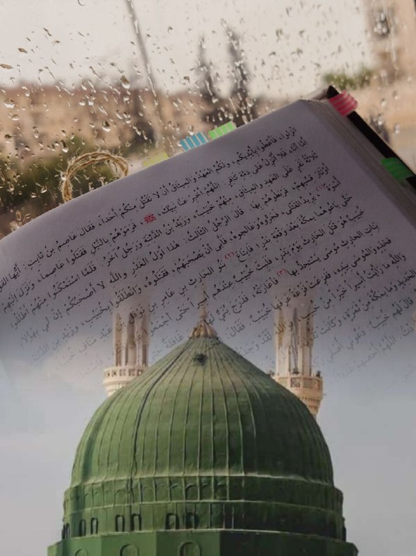 صبَّرت نفسي بأحاديثك..