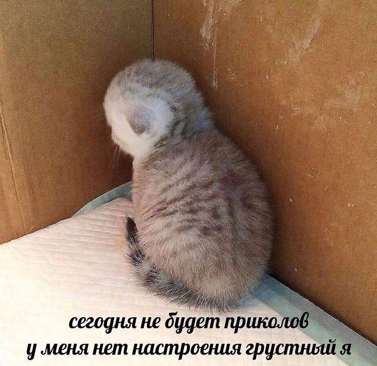 Аннэт которая делает…