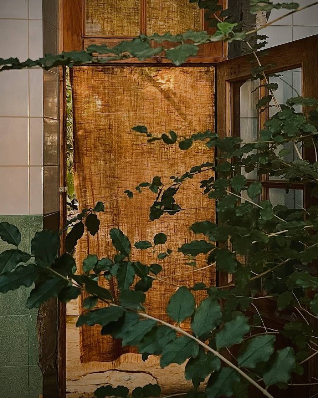 Аносова