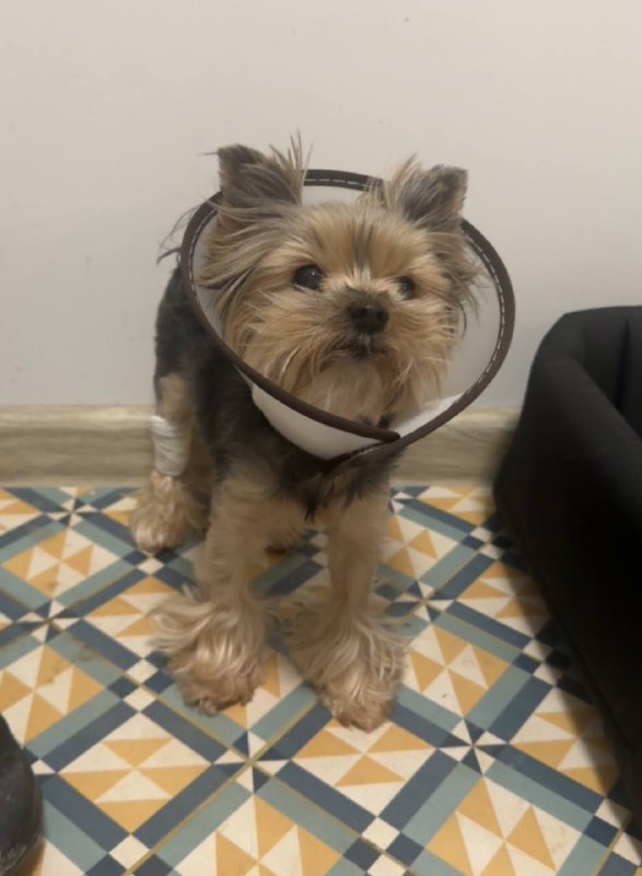 Надеюсь, она понимает, что это ради …